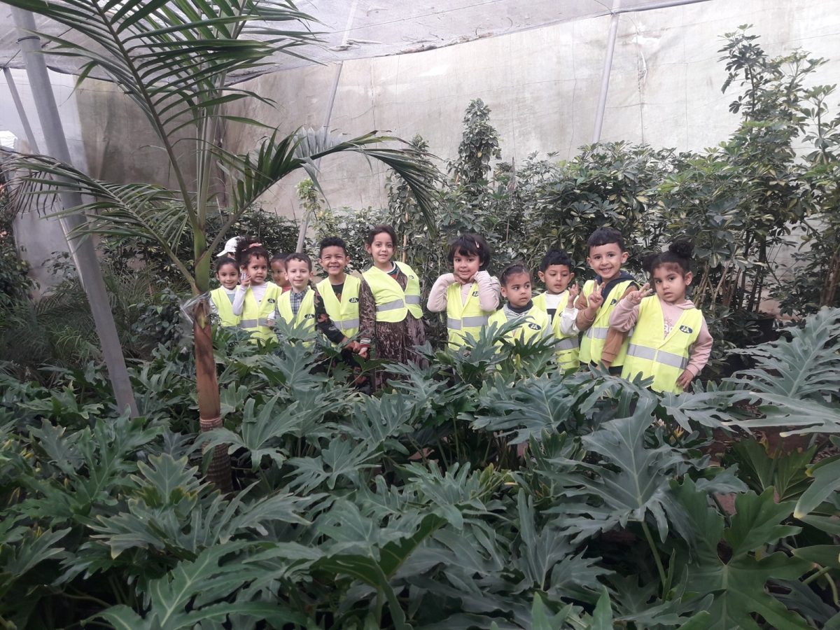 cb673fa0-2b03-4182-98ce-74318057efb8